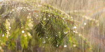 Clima em março terá chuva irregular e temperaturas acima da média no Brasil, aponta Inmet