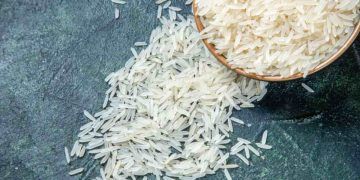 Conab anuncia aporte de R$ 73,6 milhões para comercialização de arroz na safra 25/26