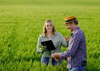 Crédito rural empresarial cresce 6% no início do Plano Safra 2025/2026