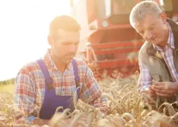 Emprego no agronegócio atinge recorde histórico no 3° trimestre de 2025 5 Emprego no agronegócio atinge recorde histórico no 3° trimestre de 2025