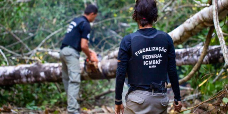 Estudo indica que combate ao desmatamento influencia índices de violência 1 Estudo indica que combate ao desmatamento influencia índices de violência