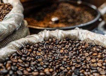 Exportações de café caem 30,8% em janeiro e somam 2,78 milhões de sacas