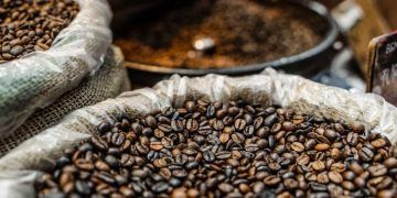 Exportações de café caem 30,8% em janeiro e somam 2,78 milhões de sacas