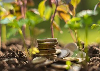 FCO Rural libera R 355 milhoes para projetos agropecuarios em Goias