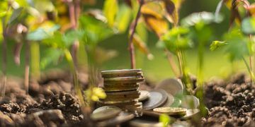 FCO Rural libera R$ 35,5 milhões para projetos agropecuários em Goiás