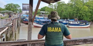 Fiscalização contra pesca ilegal no Pará gera R$ 2,9 milhões em multas