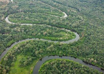 Fundo Amazonia abre edital de R 80 milhoes para projetos na Amazonia Legal