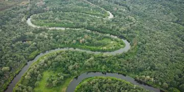 Fundo Amazônia abre edital de R$ 80 milhões para projetos na Amazônia Legal
