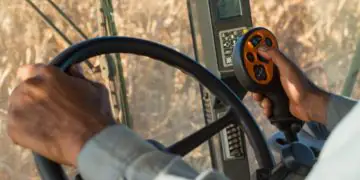 Goiás registra alta expressiva na geração de empregos na agropecuária em 2025