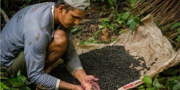 Governo abre seleção de entidades para regularização fundiária e ambiental na Amazônia