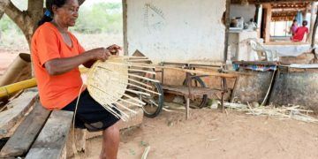 Governo abre seleção para comitê nacional voltado ao enfrentamento do racismo ambiental