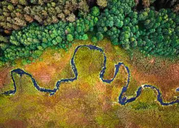 Governo paga R 18 milhoes a agricultores que preservam a Amazonia