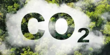 Mercado de carbono impõem critérios técnicos e novos desafios ao produtor rural, aponta CNA