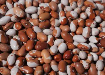 Mercado de feijao fecha janeiro em alta impulsionado por restricao de oferta