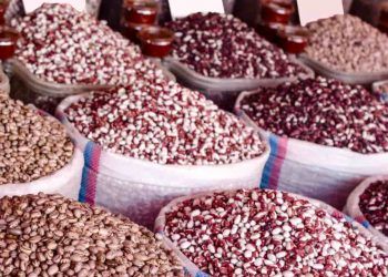 Mercado de feijao se mantem firmes apos sequencia de valorizacoes