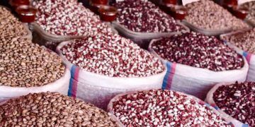 Mercado de feijão se mantêm firmes após sequência de valorizações