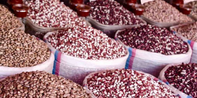 Mercado de feijão se mantêm firmes após sequência de valorizações 1 Mercado de feijão se mantêm firmes após sequência de valorizações