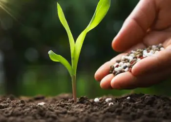 Novo decreto ajusta fiscalização de fertilizantes às normas do Autocontrole; confira 9 Novo decreto ajusta fiscalização de fertilizantes às normas do Autocontrole; confira