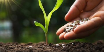 Novo decreto ajusta fiscalização de fertilizantes às normas do Autocontrole; confira