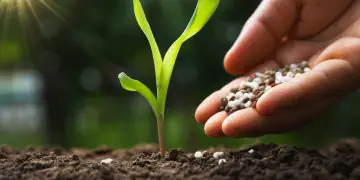 Novo decreto ajusta fiscalização de fertilizantes às normas do Autocontrole; confira