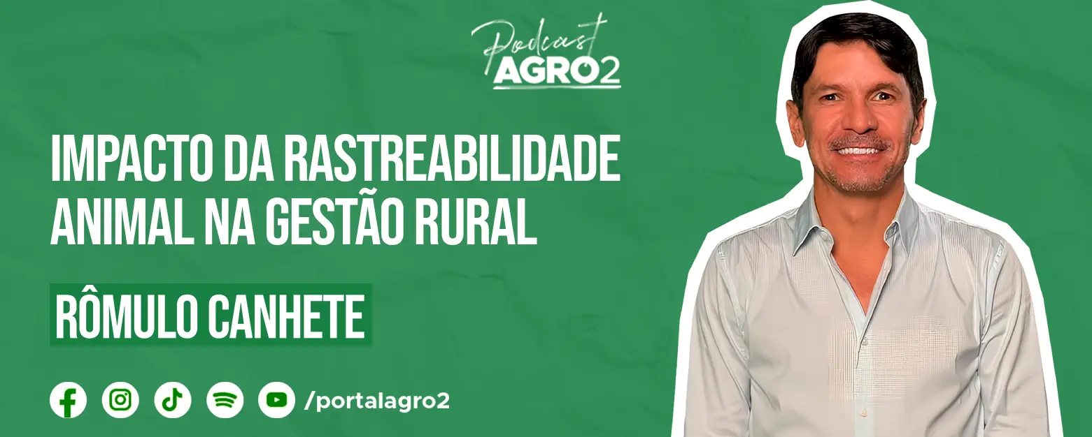 Podcast com Romulo Canhete