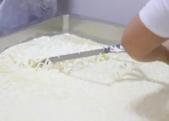 Prazo para adesão de agroindústrias de pequeno porte encerra neste sábado (7), em Goiás 8 Prazo para adesão de agroindústrias de pequeno porte encerra neste sábado (7), em Goiás