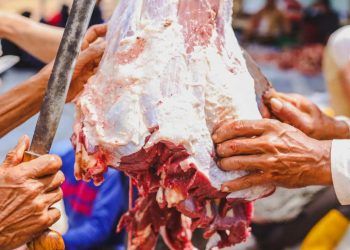 Produção animal registra alta no quarto trimestre de 2025