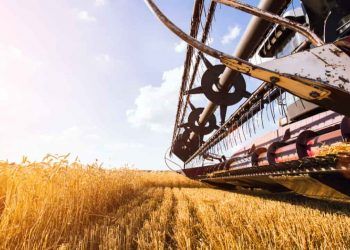 Producao brasileira de graos deve atingir 3534 milhoes de toneladas na safra 2526