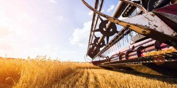 Produção brasileira de grãos deve atingir 353,4 milhões de toneladas na safra 25/26