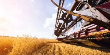 Produção brasileira de grãos deve atingir 353,4 milhões de toneladas na safra 25/26