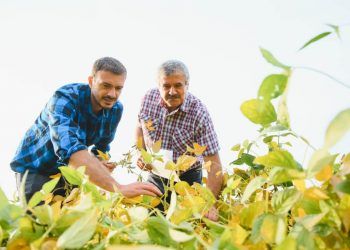 Projeto propõe perdão de multas milionárias a produtores em Goiás