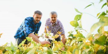 Projeto propõe perdão de multas milionárias a produtores em Goiás
