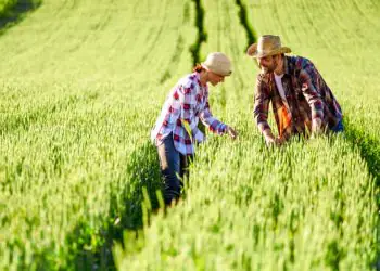Pronaf tem novos descontos nas parcelas para agricultores familiares em fevereiro