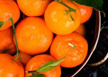 Veja como plantar mexerica e os beneficios da fruta para a saude