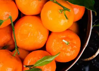 Veja como plantar mexerica e os benefícios da fruta para a saúde