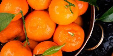 Veja como plantar mexerica e os benefícios da fruta para a saúde