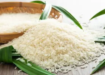 Conab amplia mecanização da agricultura familiar e reforça produção de arroz no Nordeste 6 Conab amplia mecanização da agricultura familiar e reforça produção de arroz no Nordeste
