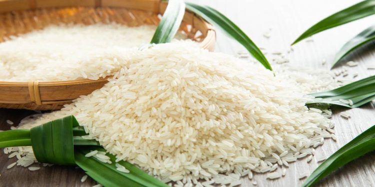 Conab amplia mecanização da agricultura familiar e reforça produção de arroz no Nordeste 1 Conab amplia mecanização da agricultura familiar e reforça produção de arroz no Nordeste