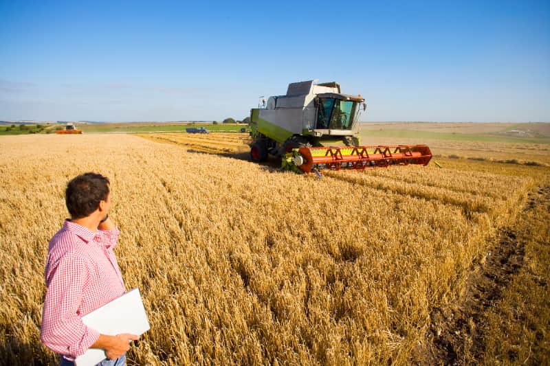 Câmara aprova garantia do FGO para ampliar crédito do Pronaf 3 Crédito no agro