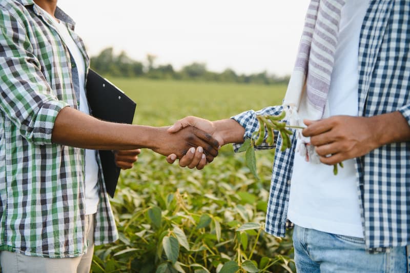 Emprego no agronegócio