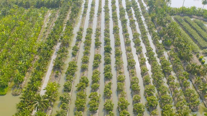 Excesso de chuva ameaça lavouras e trava produção em Minas Gerais 2 Enchentes em minas