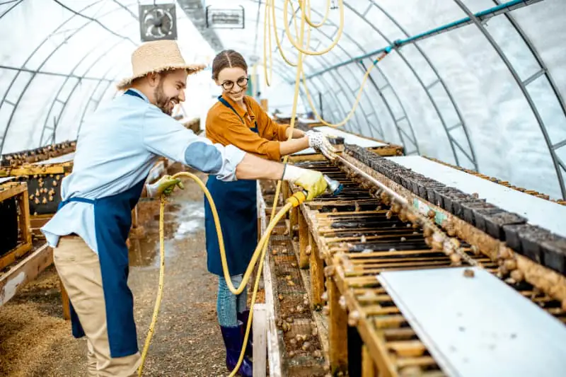 Agro cria mais de 10 mil empregos formais em maio, aponta Novo Caged 2 Geração de emprego no agro