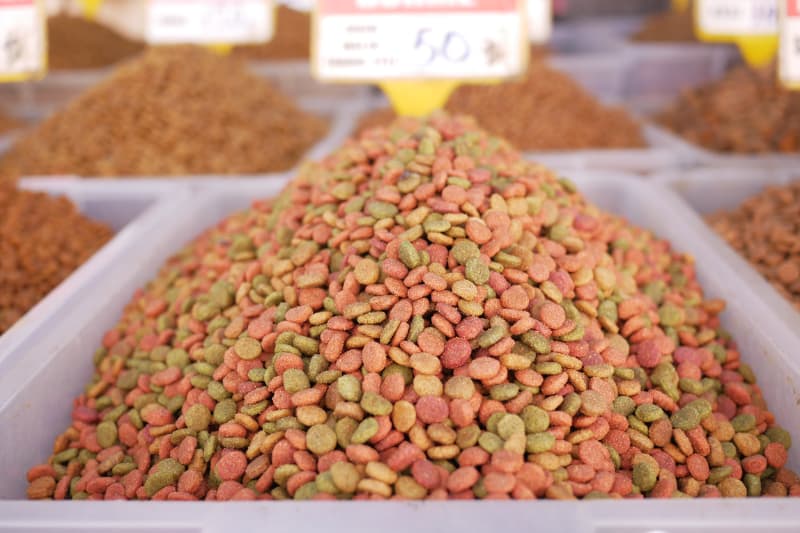 Importação de ração