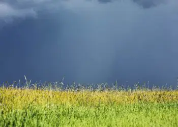 Fevereiro terá chuvas irregulares e temperaturas acima da média em grande parte do Brasil