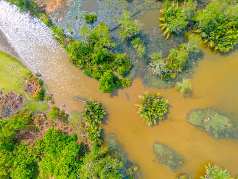 Excesso de chuva ameaça lavouras e trava produção em Minas Gerais 3 Temporais em minas