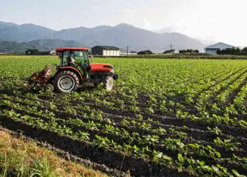 Agricultor familiar não terá aumento na contribuição previdenciária rural
