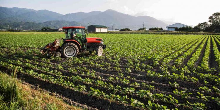 Agricultor familiar não terá aumento na contribuição previdenciária rural 1 Agricultor familiar não terá aumento na contribuição previdenciária rural