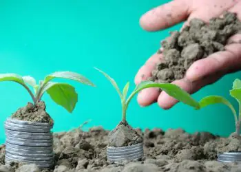 Agropecuária brasileira registra alta de 11,7% e se destaca no PIB de 2025