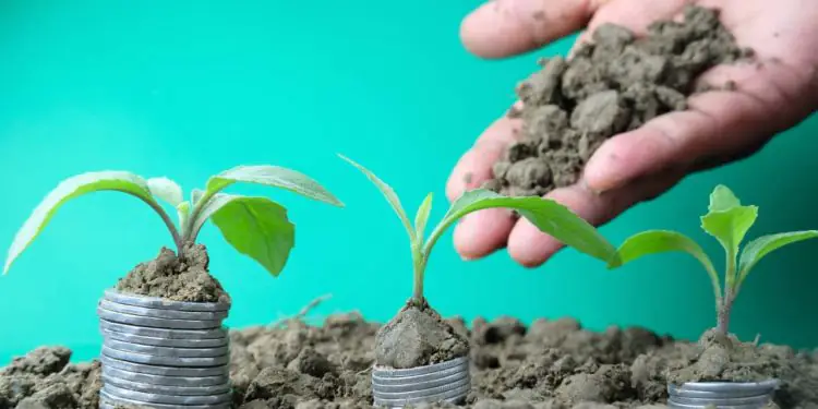 Agropecuária brasileira registra alta de 11,7% e se destaca no PIB de 2025 1 Agropecuária brasileira registra alta de 11,7% e se destaca no PIB de 2025