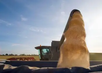 Alta do diesel preocupa produtores rurais e pode pressionar custos no campo 6 Alta do diesel preocupa produtores rurais e pode pressionar custos no campo